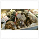 The BEST in Oyeters by Air ※ Just Arrived @ Sushi San Japan
法國頂級 Gillardeau oysters 0 號引誘惑 ※ 熱賣中