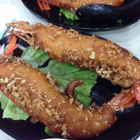 越南大头虾图片