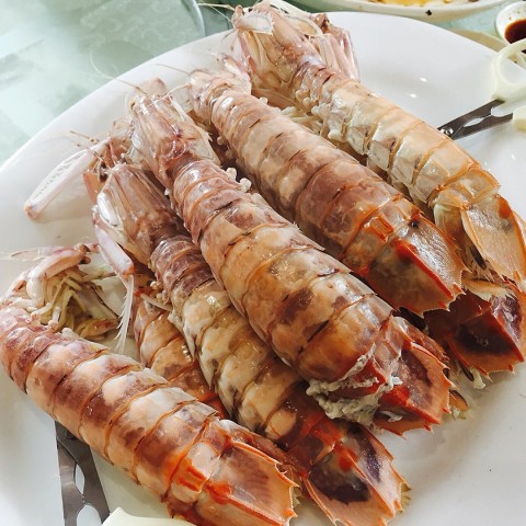 隔水蒸瀬尿虾 - 屯门的南记海鲜饭店